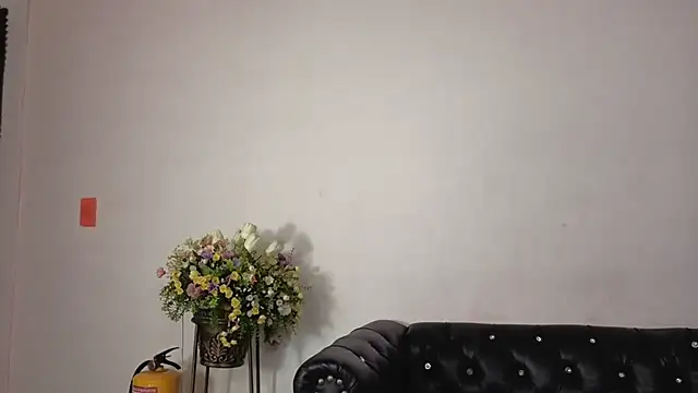 IsaSantoDomingo online show from February 2026 10:46:01 PM