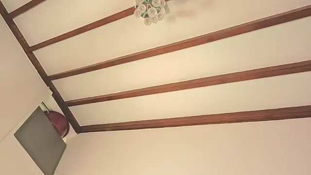 IsaSantoDomingo online show from February 2026 06:56:02 PM