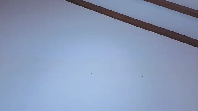 IsaSantoDomingo online show from February 2026 06:45:01 PM