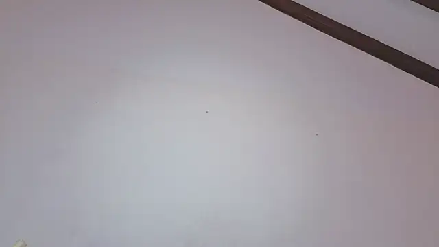 IsaSantoDomingo online show from February 2026 07:19:02 PM