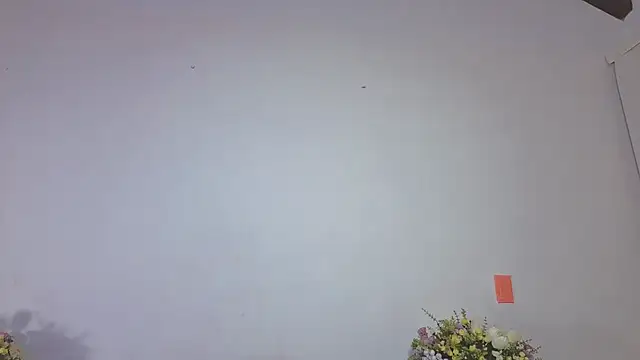 IsaSantoDomingo online show from February 2026 06:48:01 PM