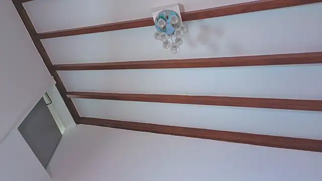 IsaSantoDomingo online show from February 2026 08:15:01 PM