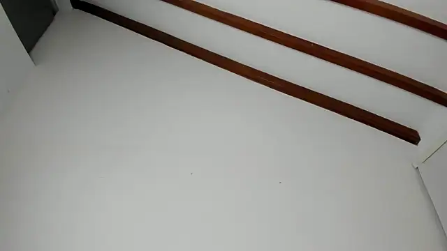 IsaSantoDomingo online show from February 2026 11:50:02 PM