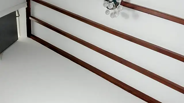 IsaSantoDomingo online show from February 2026 08:30:01 PM