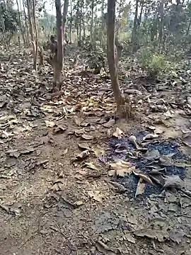 Snapshot of 88zaifkhan88 chatting on January 2026 04:37:02 AM 88zaifkhan88 online show from January 2026 04:37:02 AM