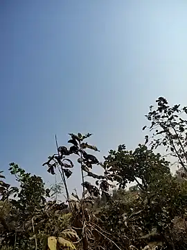 Snapshot of 88zaifkhan88 chatting on January 2026 05:13:02 AM 88zaifkhan88 online show from January 2026 05:13:02 AM