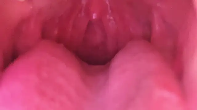 LT-333 online show from January 2026 07:23:02 AM