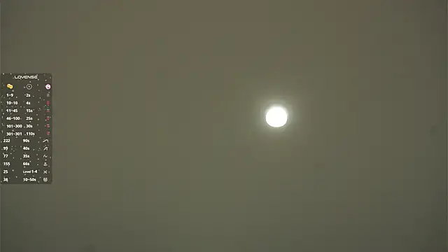 ElmaSmallman online show from February 2026 09:38:01 AM