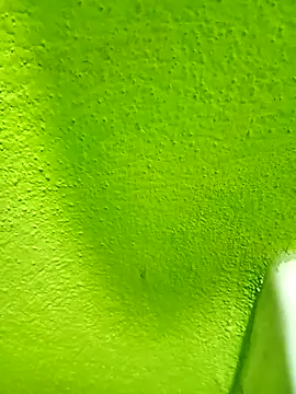 Snapshot of hectorpuga9 chatting on March 2026 08:51:01 AM hectorpuga9 online show from March 2026 08:51:01 AM