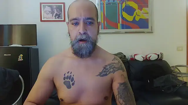 AMIRDIB2025 online show from June 2026 01:57:02 PM