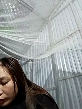 Snapshot of Evelyn-n chatting on January 2026 11:36:02 AM Evelyn-n online show from January 2026 11:36:02 AM