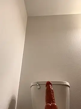 Snapshot of SpunRedneck chatting on February 2026 12:00:02 AM SpunRedneck online show from February 2026 12:00:02 AM