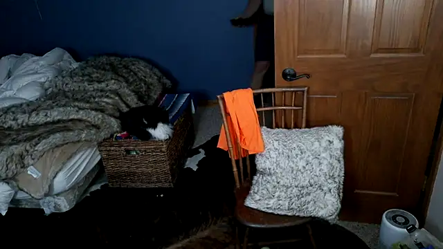 Snapshot of SpunRedneck chatting on March 2026 09:15:01 AM SpunRedneck online show from March 2026 09:15:01 AM