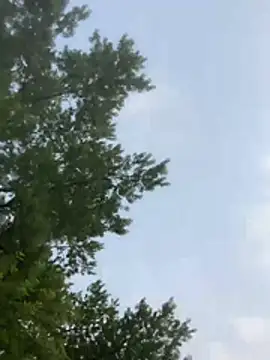 SpunRedneck online show from July 2026 12:17:01 AM