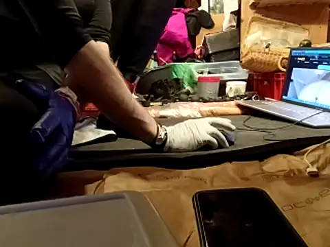 Snapshot of laaralatexxa_BDSM chatting on March 2026 04:08:02 AM laaralatexxa BDSM online show from March 2026 04:08:02 AM