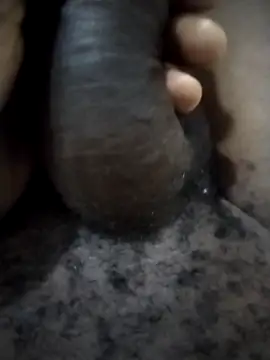 Snapshot of Piazza21 chatting on February 2026 04:50:02 AM Piazza21 online show from February 2026 04:50:02 AM