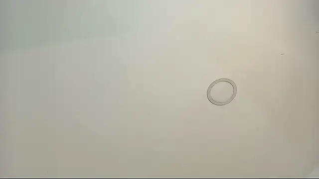 Snapshot of tamara_walter chatting on February 2026 03:52:02 PM tamara walter online show from February 2026 03:52:02 PM