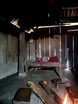 ava-dellght online show from January 2026 02:14:02 AM