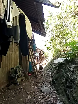 sary-hot2x online show from May 2026 02:18:01 AM