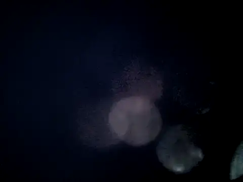 Snapshot of jefflatex45 chatting on May 2026 12:24:02 PM jefflatex45 online show from May 2026 12:24:02 PM