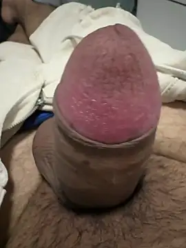 picachux online show from April 2026 08:17:01 PM