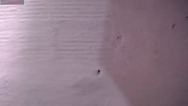 danycute  online show from July 2026 02:57:02 PM