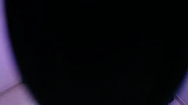 Sofia tgn online show from June 2026 06:41:01 PM