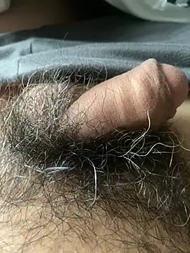 Snapshot of hairylittledic chatting on June 2026 10:55:02 PM hairylittledic online show from June 2026 10:55:02 PM