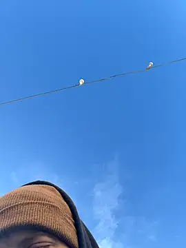 Big German cock974 online show from December 2025 01:40:01 PM