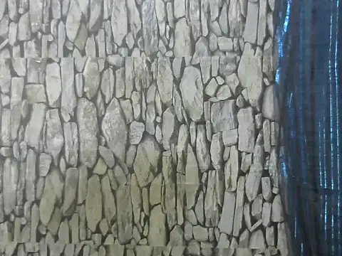 Exotic indian95 online show from March 2026 06:53:02 AM