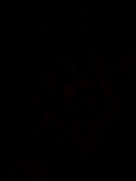 Snapshot of 1Aya1Mustafa chatting on March 2026 02:07:02 PM 1Aya1Mustafa online show from March 2026 02:07:02 PM