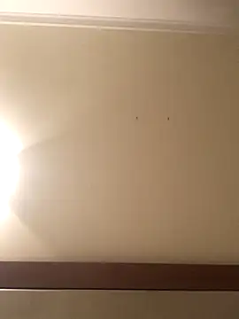 Snapshot of Palinchik chatting on January 2026 09:39:02 PM Palinchik online show from January 2026 09:39:02 PM