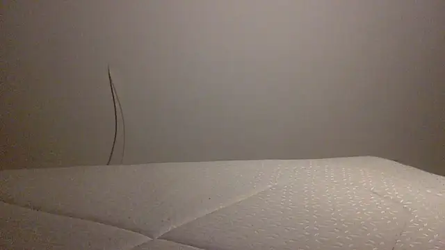 Snapshot of Palinchik chatting on February 2026 10:41:01 PM Palinchik online show from February 2026 10:41:01 PM