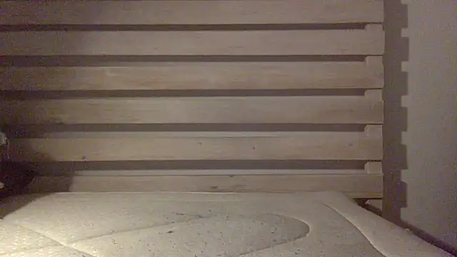 Snapshot of Palinchik chatting on February 2026 02:43:01 AM Palinchik online show from February 2026 02:43:01 AM