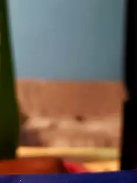 Roberto772 online show from February 2026 03:38:02 AM