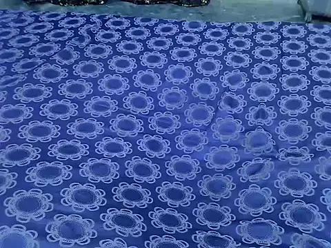 Proxy Paige online show from January 2026 07:11:01 PM