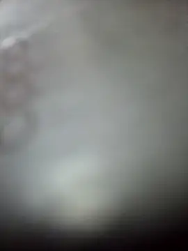 bhabi open nshow online show from February 2026 08:11:02 AM