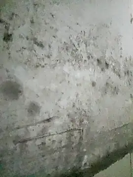 ROSE099 online show from February 2026 08:25:02 AM