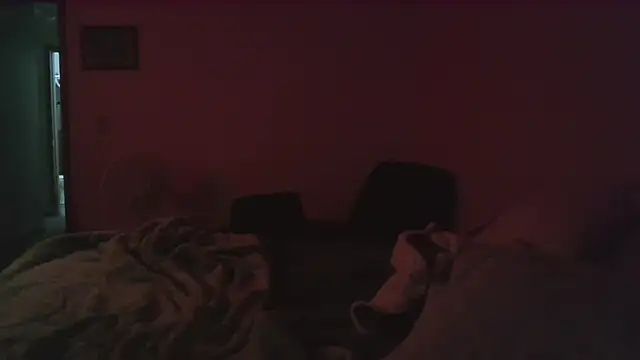 Snapshot of dixielover1229 chatting on December 2025 04:06:01 AM dixielover1229 online show from December 2025 04:06:01 AM