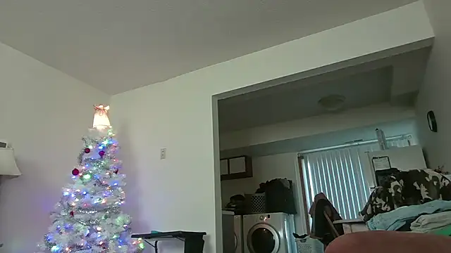 Snapshot of dixielover1229 chatting on December 2025 03:07:01 PM dixielover1229 online show from December 2025 03:07:01 PM