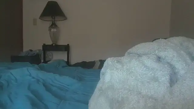 Snapshot of dixielover1229 chatting on January 2026 05:04:01 PM dixielover1229 online show from January 2026 05:04:01 PM