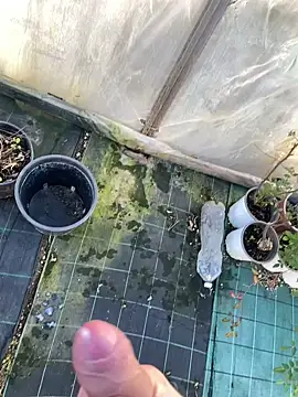 marcoboss online show from January 2026 01:50:01 PM