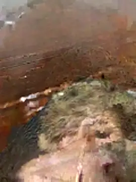 Snapshot of katiyvy chatting on February 2026 07:10:01 PM katiyvy online show from February 2026 07:10:01 PM