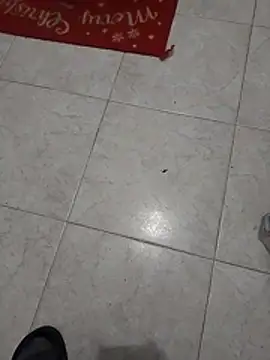 Snapshot of Mar81 chatting on January 2026 06:07:01 AM Mar81 online show from January 2026 06:07:01 AM