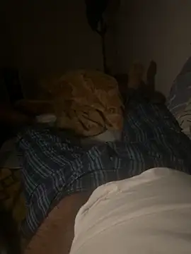 Snapshot of Night_outcam chatting on February 2026 07:20:02 PM Night outcam online show from February 2026 07:20:02 PM