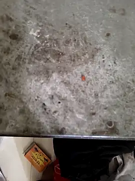 Snapshot of Niteenku chatting on March 2026 11:10:01 AM Niteenku online show from March 2026 11:10:01 AM