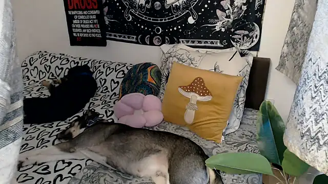 AlienforTwenty online show from February 2026 08:57:01 AM