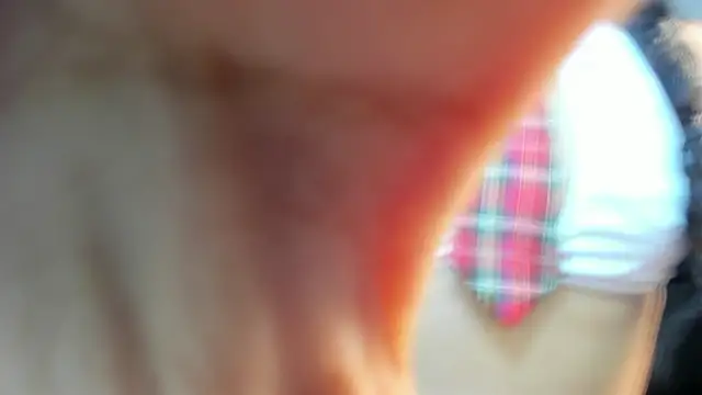 Snapshot of valeria_dark_ chatting on January 2026 08:12:01 PM valeria dark online show from January 2026 08:12:01 PM