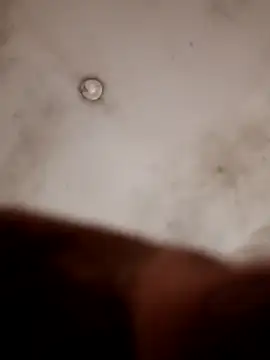 Casadocurioso50 online show from April 2026 04:18:01 PM