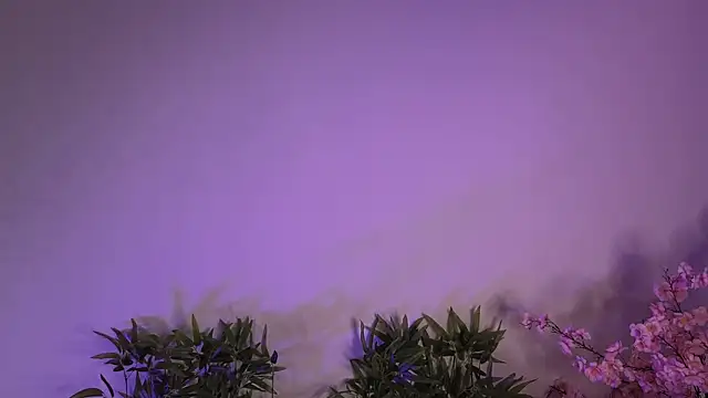 Snapshot of Mila_Whelson chatting on January 2026 10:46:01 PM Mila Whelson online show from January 2026 10:46:01 PM